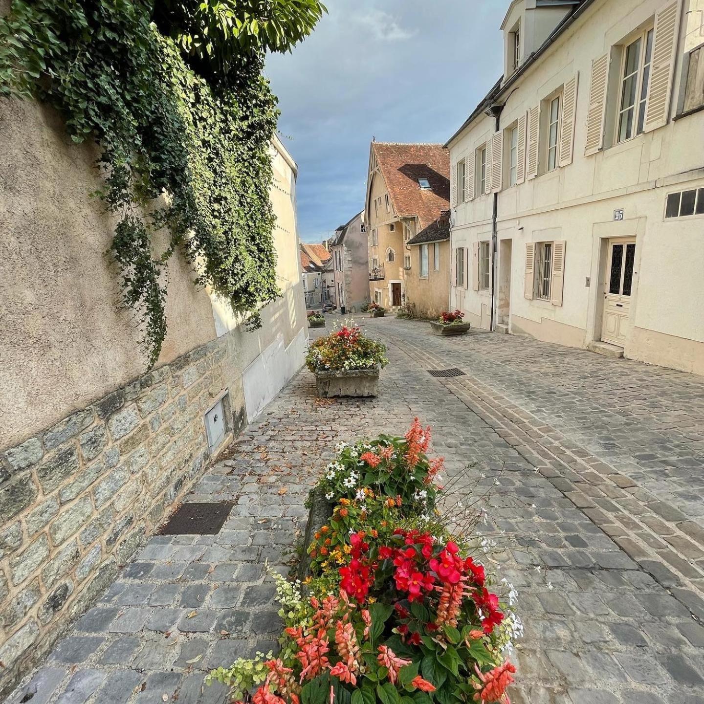 Apartament Le Pigeonnier Centre Historique Auxerre Zewnętrze zdjęcie